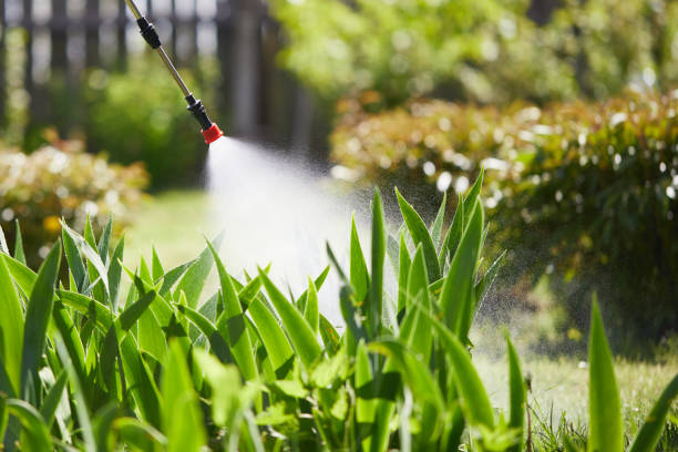 24/7 Emergency Wasp Removal experts in Smithers, WV