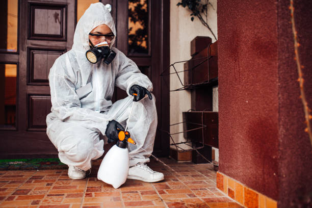 Reliable Wasp Removal contractor in Smithers, WV by Show Me Pest Control